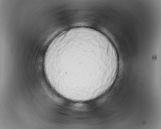 X0000113210153200910221110