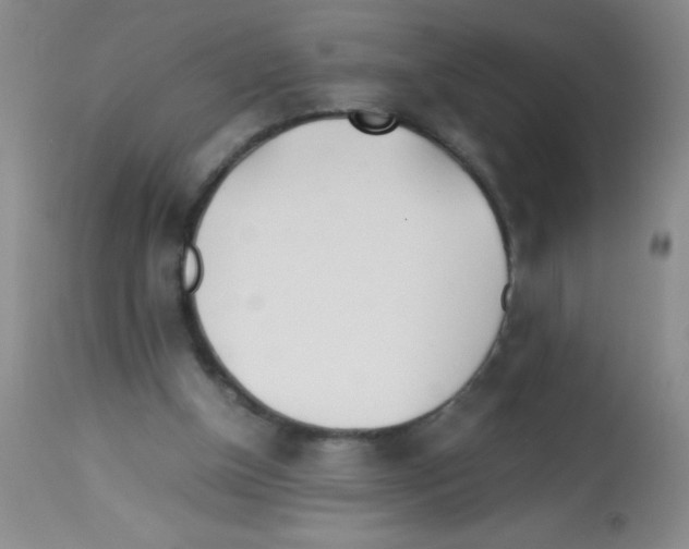 X0000113210154200910221110