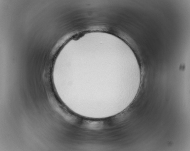 X0000113210155200910221110