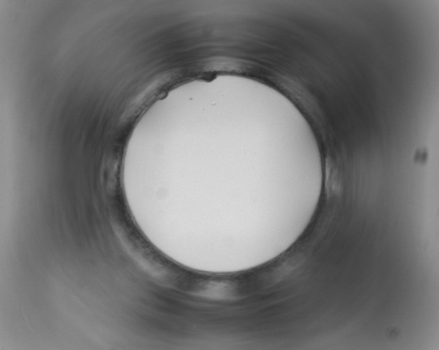 X0000113210157200910221110