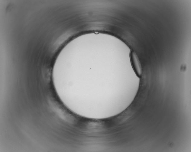 X0000113210160200910221110