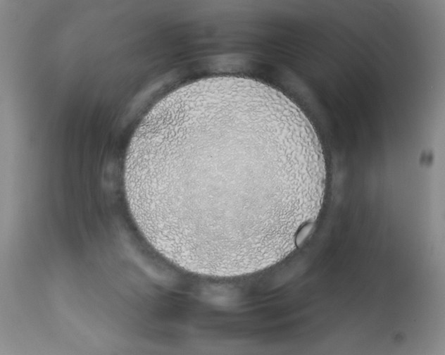 X0000113210161200910221110