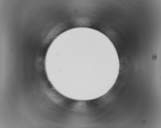 X0000113210162200910221110