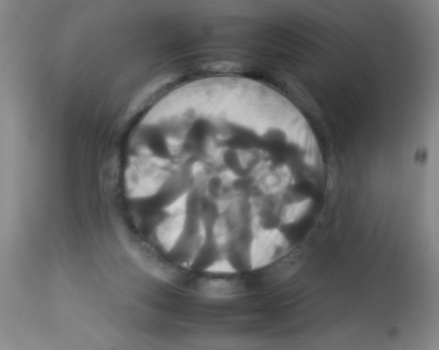 X0000113210163200910221110