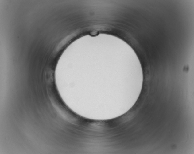 X0000113210164200910221110