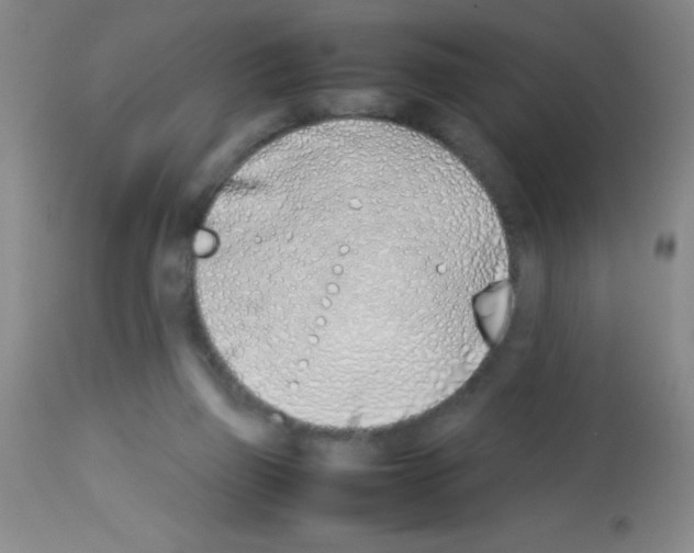 X0000113210165200910221110