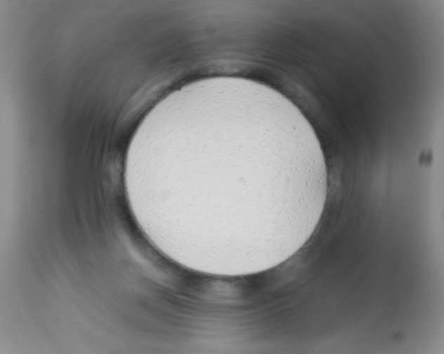 X0000113210166200910221110