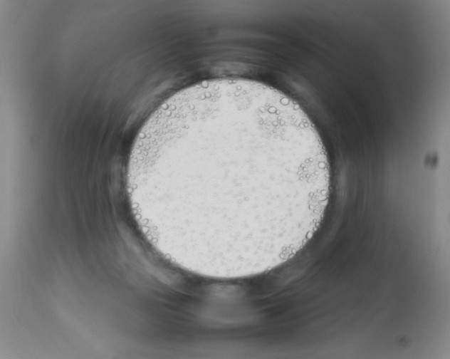 X0000113210169200910221110