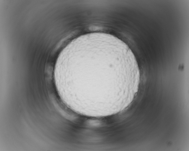 X0000113210171200910221111