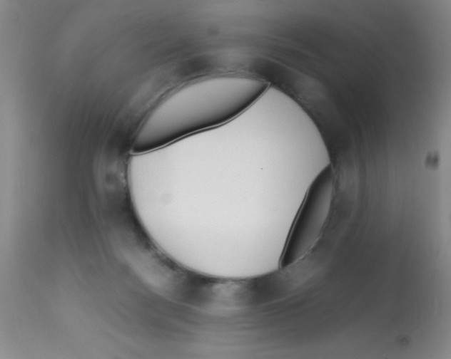 X0000113210172200910221111