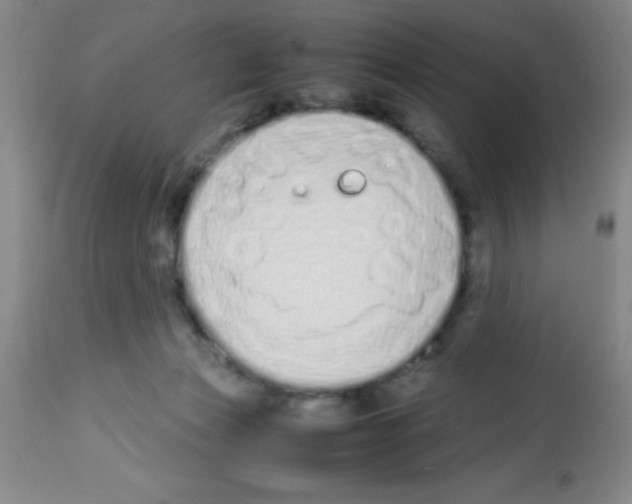 X0000113210173200910221111