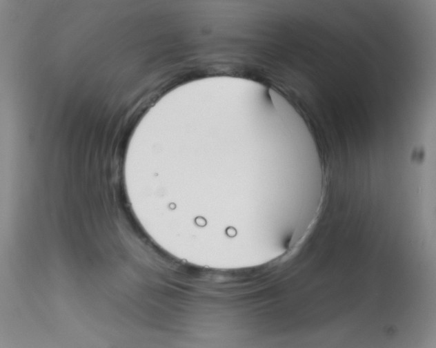 X0000113210174200910221111