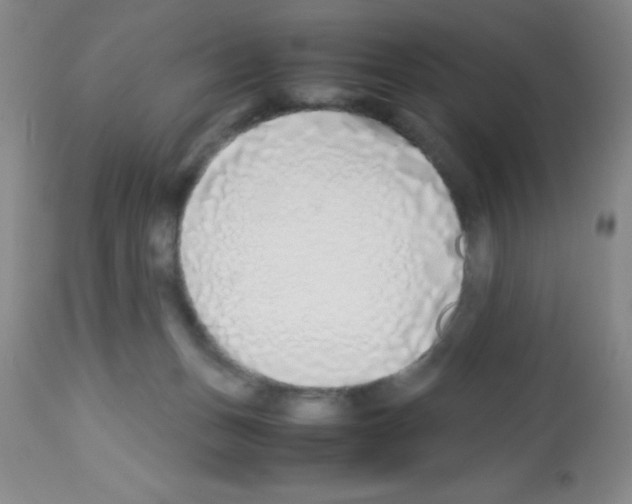 X0000113210175200910221111