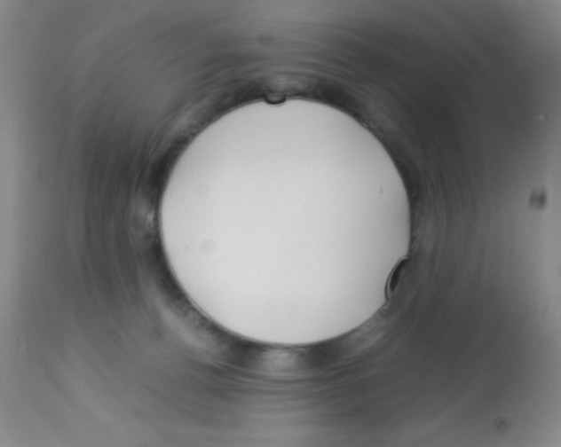 X0000113210176200910221111