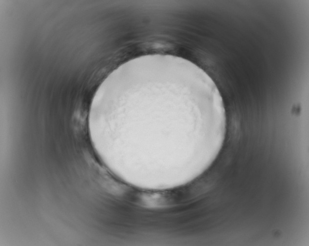 X0000113210177200910221111