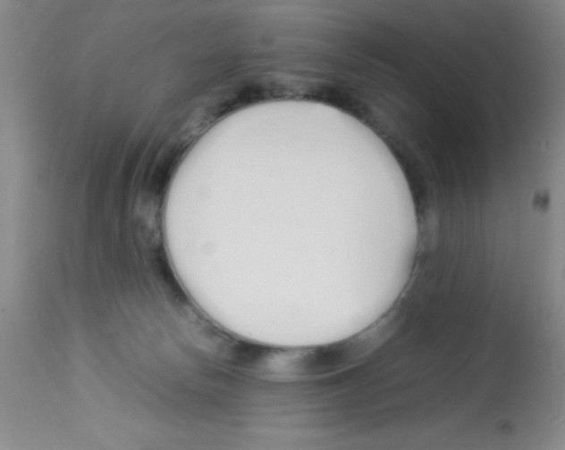 X0000113210178200910221111