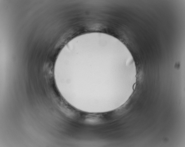 X0000113210179200910221111