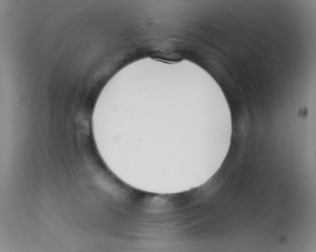 X0000113210180200910221111