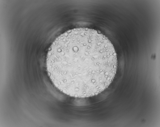 X0000113210181200910221111