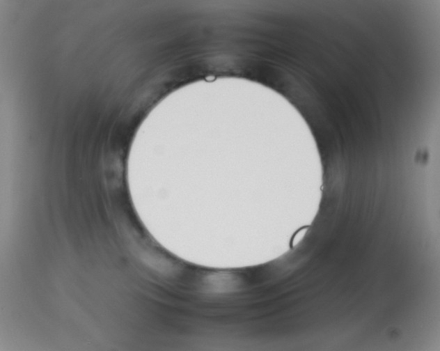 X0000113210183200910221111