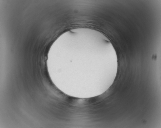 X0000113210184200910221111