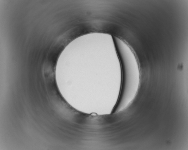 X0000113210186200910221111