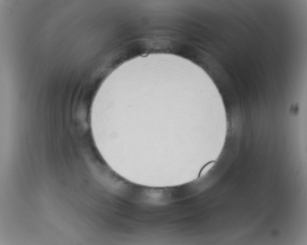 X0000113210187200910221111