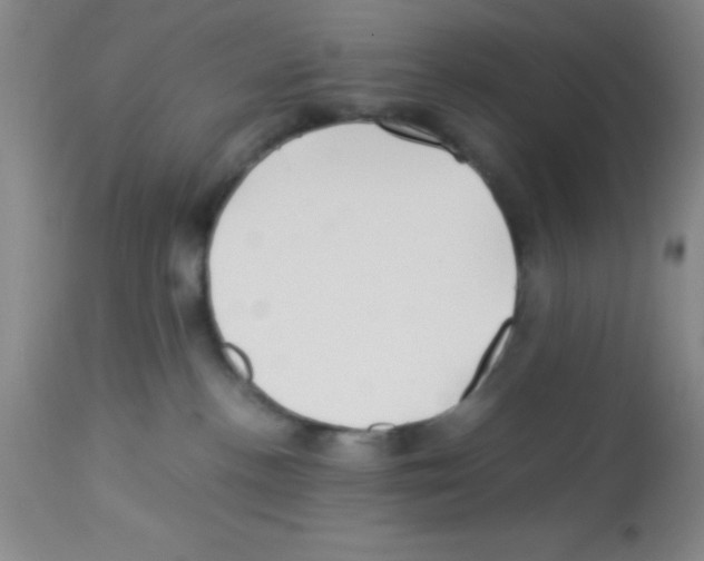 X0000113210188200910221111