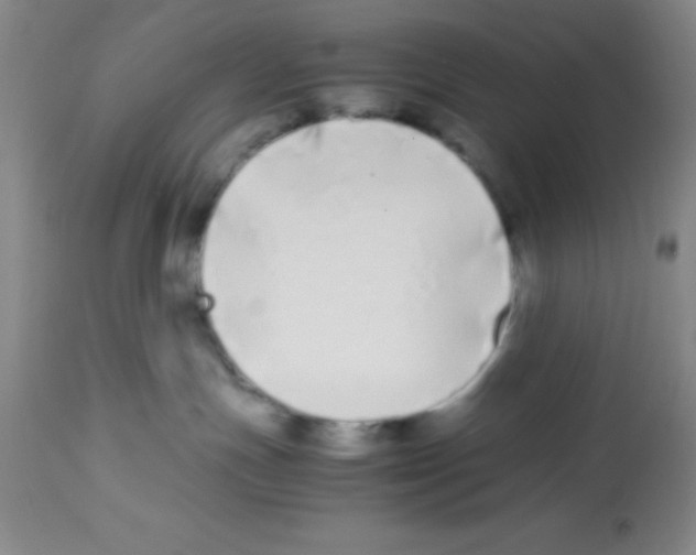 X0000113210191200910221111