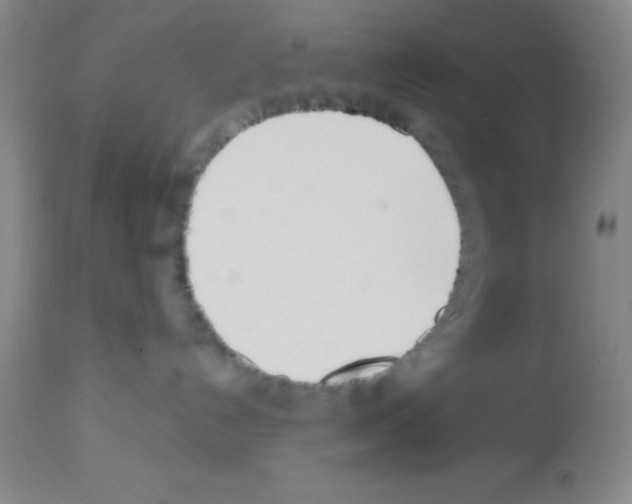 X0000113210192200910221111