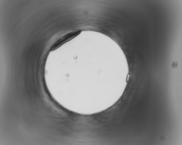 X0000113210193200910221110