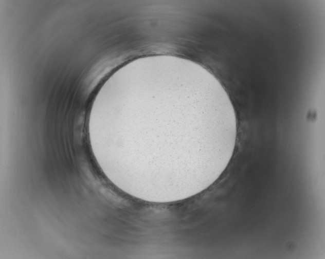 X0000113210194200910221110