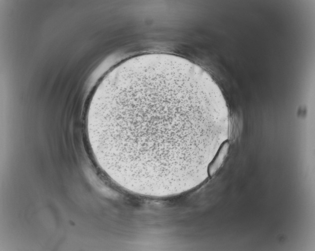 X0000113210195200910221110