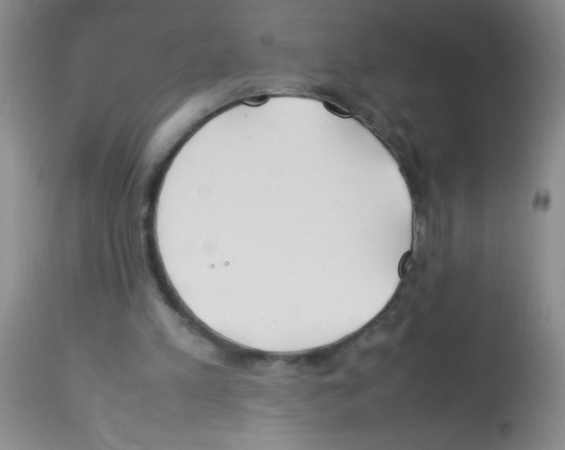 X0000113210197200910221110