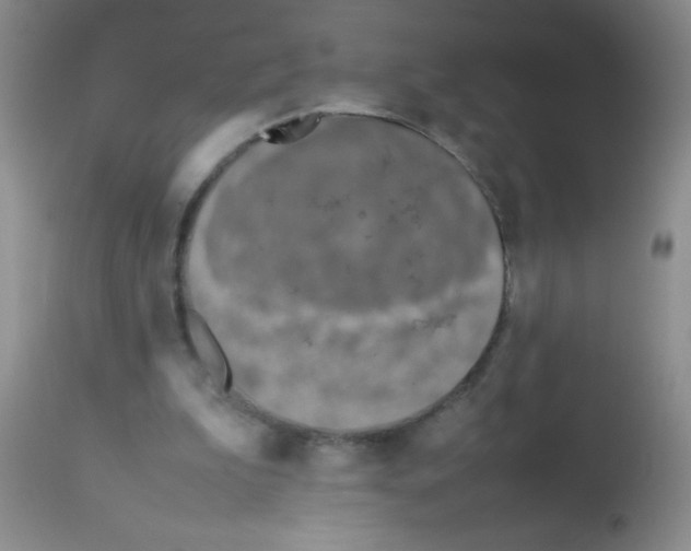 X0000113210199200910221110