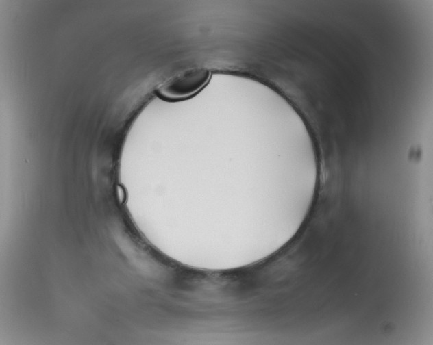 X0000113210201200910221110