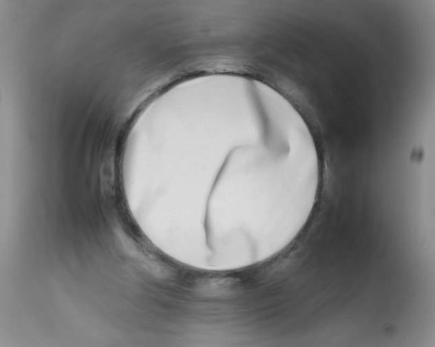 X0000113210202200910221110