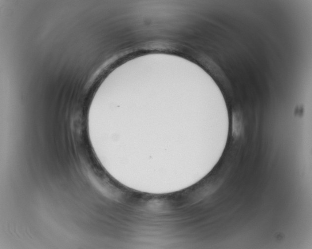 X0000113210204200910221110