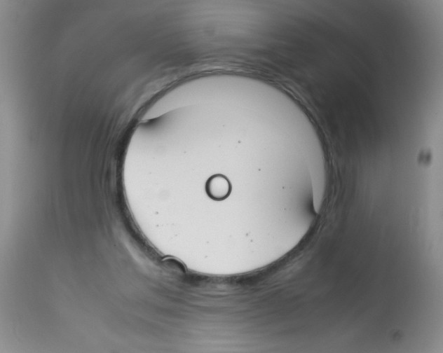 X0000113210205200910221110