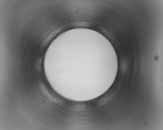 X0000113210206200910221110