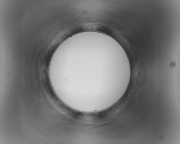 X0000113210209200910221110