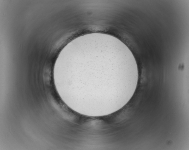 X0000113210210200910221110