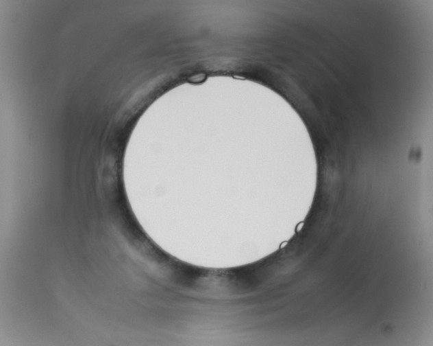 X0000113210211200910221110