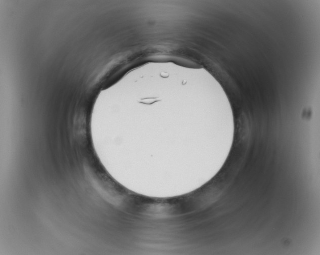 X0000113210212200910221110