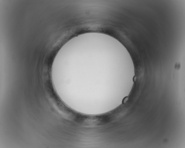 X0000113210213200910221110