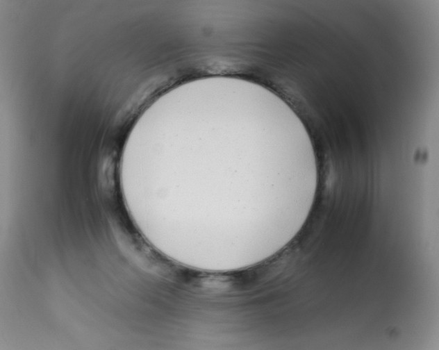 X0000113210214200910221110