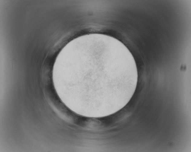 X0000113210215200910221110