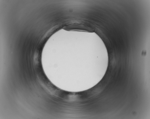 X0000113210216200910221110