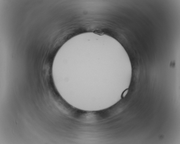 X0000113210219200910221110