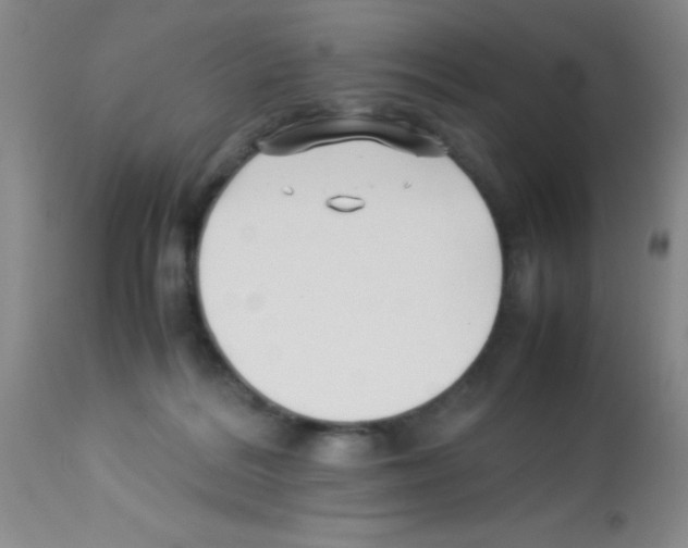 X0000113210220200910221110